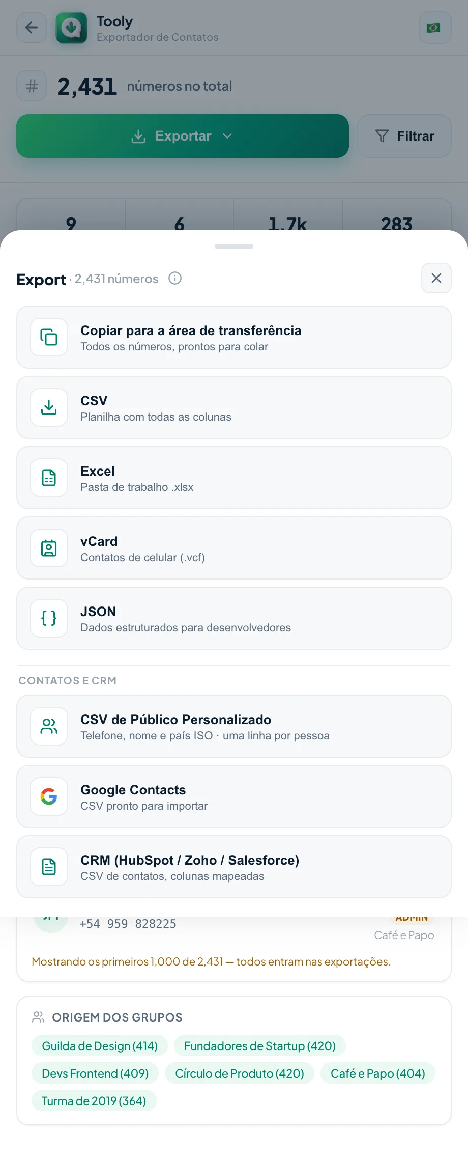 Escolha Excel no menu de exportação do Tooly
